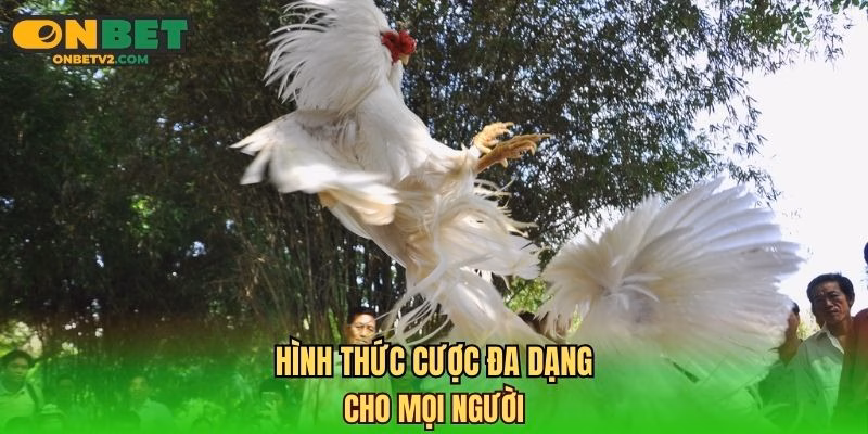 Hình thức cược đa dạng cho mọi người